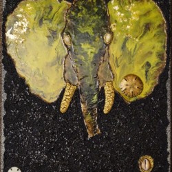 N   0161  ELEPHANT N  2