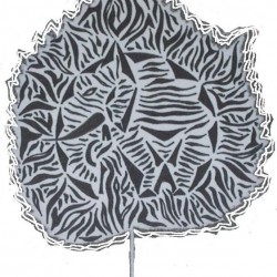 N   62